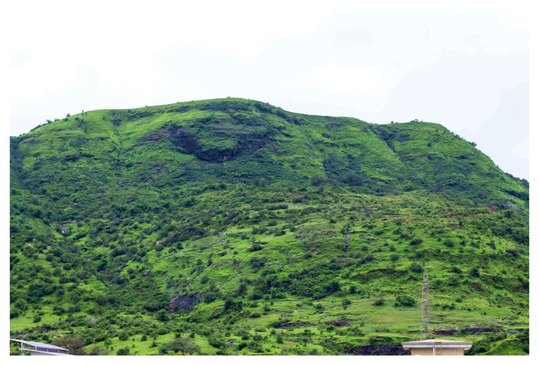 Salt Life Villa Lonavala Buitenkant foto
